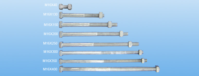 ΚΟΧΛΙΕΣ ΜΕ ΠΕΡΙΚΟΧΛΙΟ Μ16